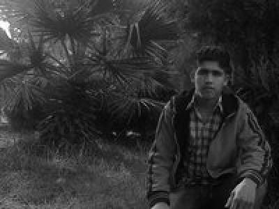 احمد رشواني