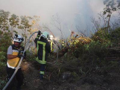 مع ارتفاع درجات الحرارة … زيادة كبيرة في أعداد الحرائق شمال غربي سوريا