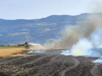 في يوم واحد…احتراق أكثر من 300 دونم من المحاصيل الزراعية في سهل الغاب